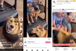 疯狂上嘴脸！马竞官方几乎全平台同步视频，嘲讽巴萨是戴头套的狗