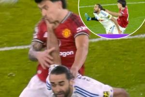 这红牌对吗？利马拉拽头发但力度存疑，且勒温回手抓脖子动作在先