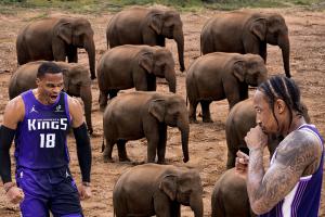 德罗赞愿帮威少跟大象打架哈登：我爱你们！但我先撤！