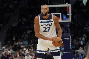 罚球9中3！戈贝尔4中1拿到4分10板 正负值-23